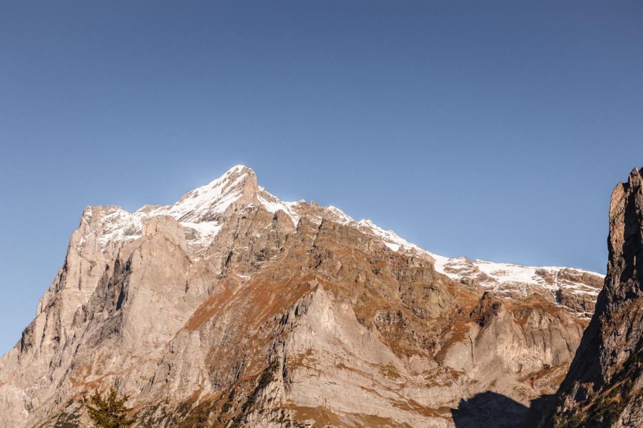 Hotel Fiescherblick Grindelwald Bagian luar foto